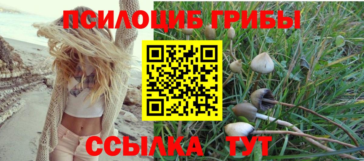 Галлюциногенные грибы мухоморы Зеленокумск